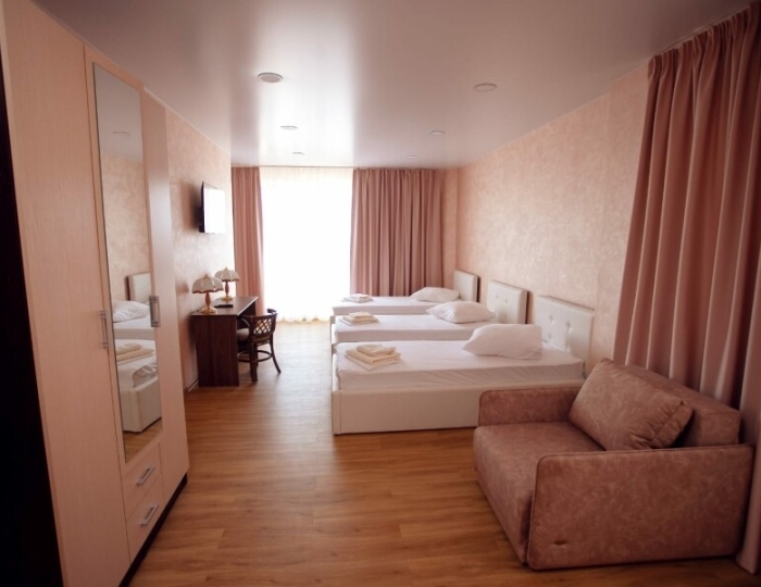 Люкс 3-местный 1-комнатный - Гостиничный комплекс Vita Wellness & Spa / Вита Велнес и Спа Витино